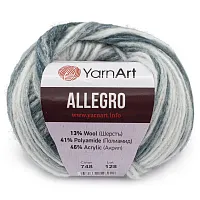 Пряжа YarnArt 'Allegro' 50гр 145м (13% шерсть, 41% полиамид, 46% акрил) (748 секционный)